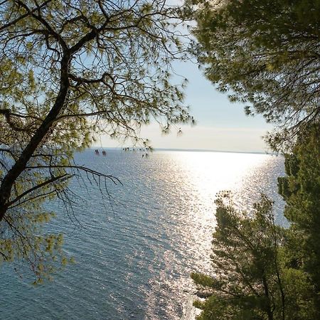 Squirrel Beach Front Villa, Metamorfosi Exterior foto